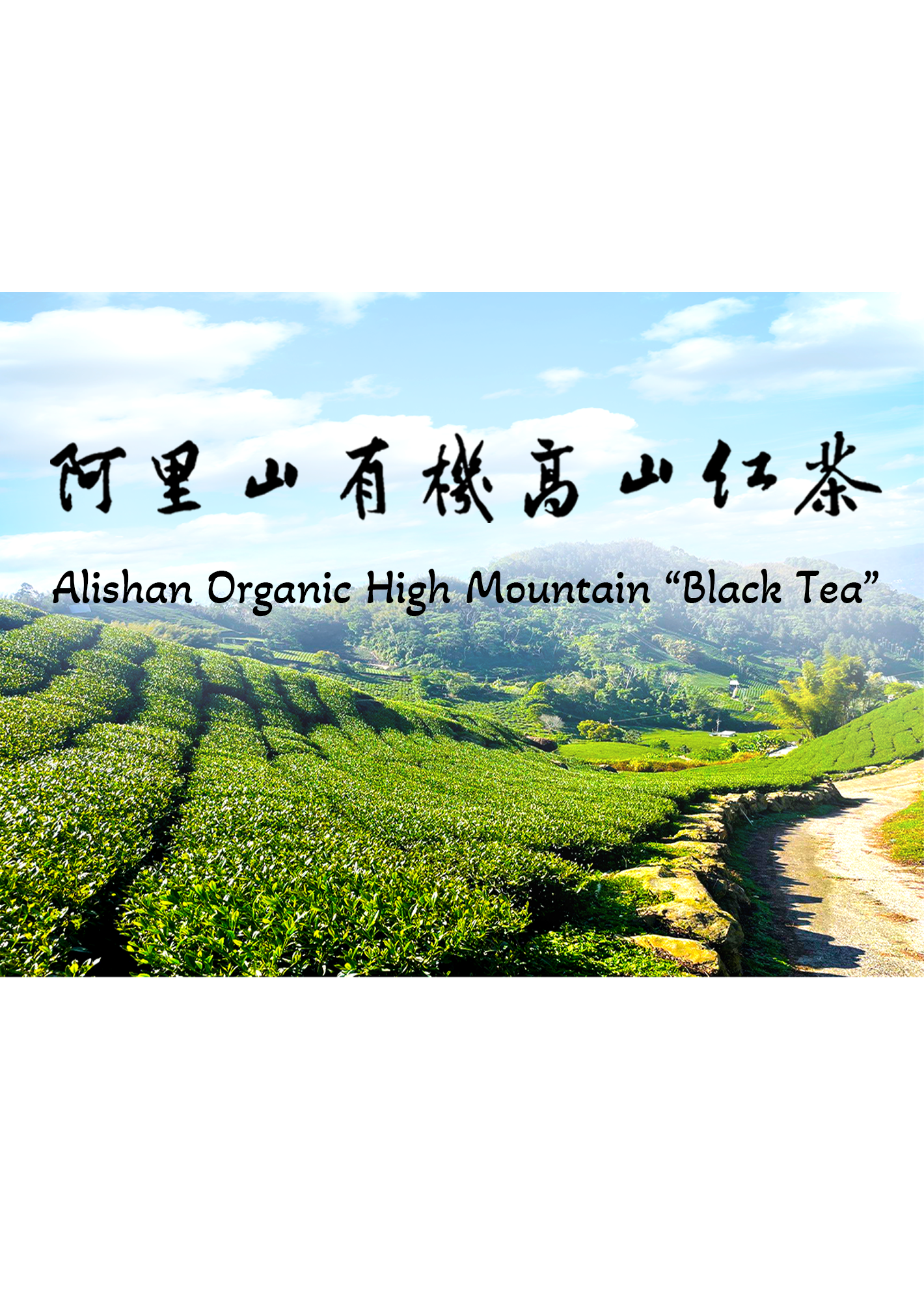 阿里山有機高山紅茶(75克)
