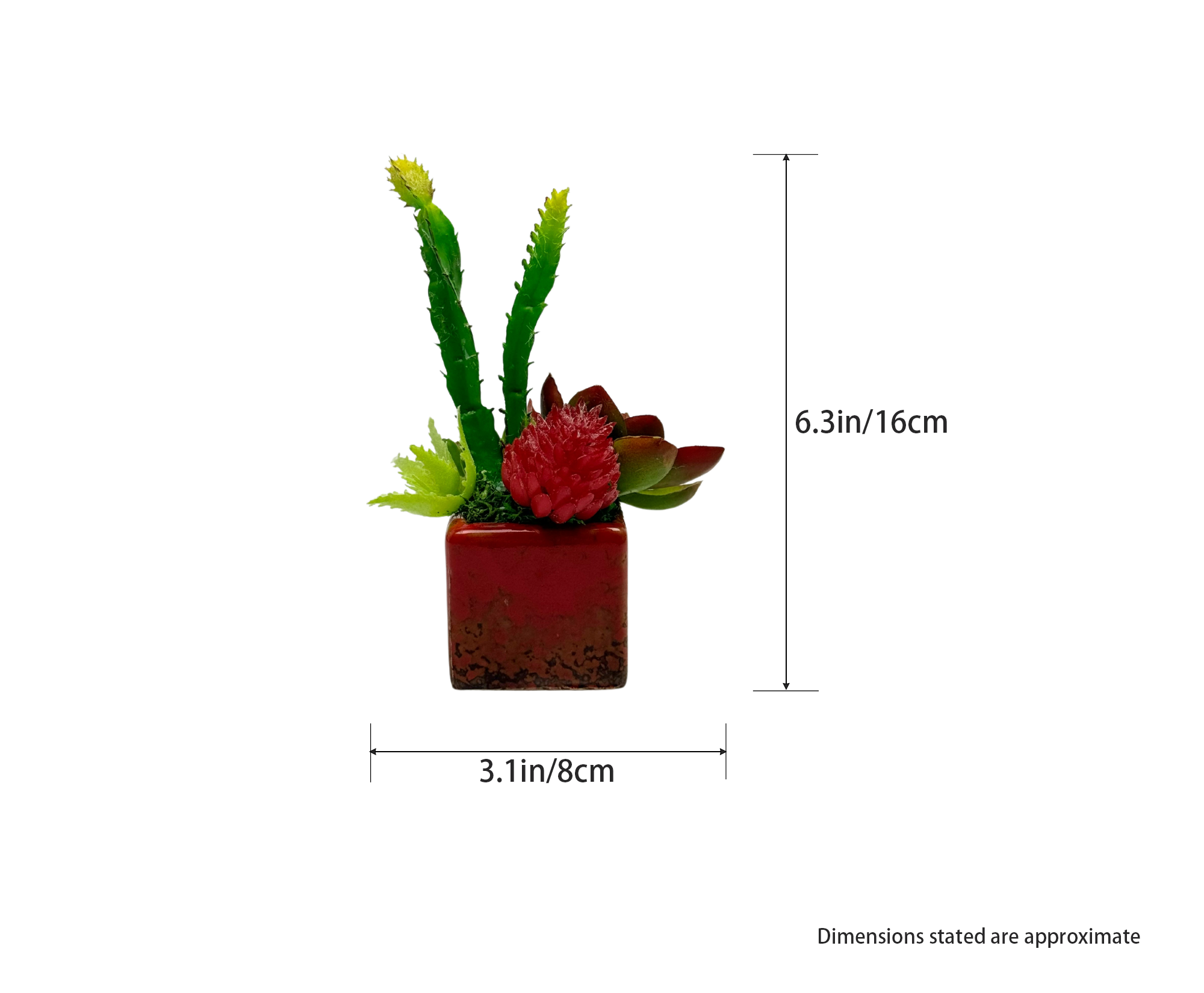 Handcraft Succulent Plant #3