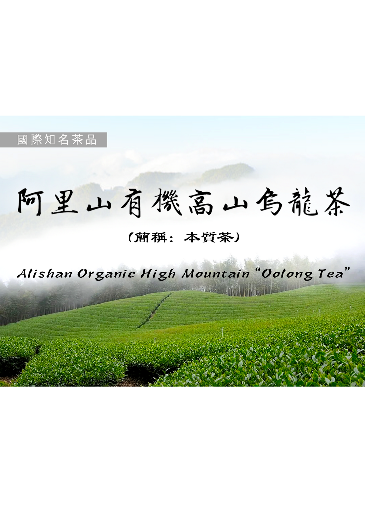 Alishan Organic High Mountain Oolong Tea  "Essence Tea" - 75g