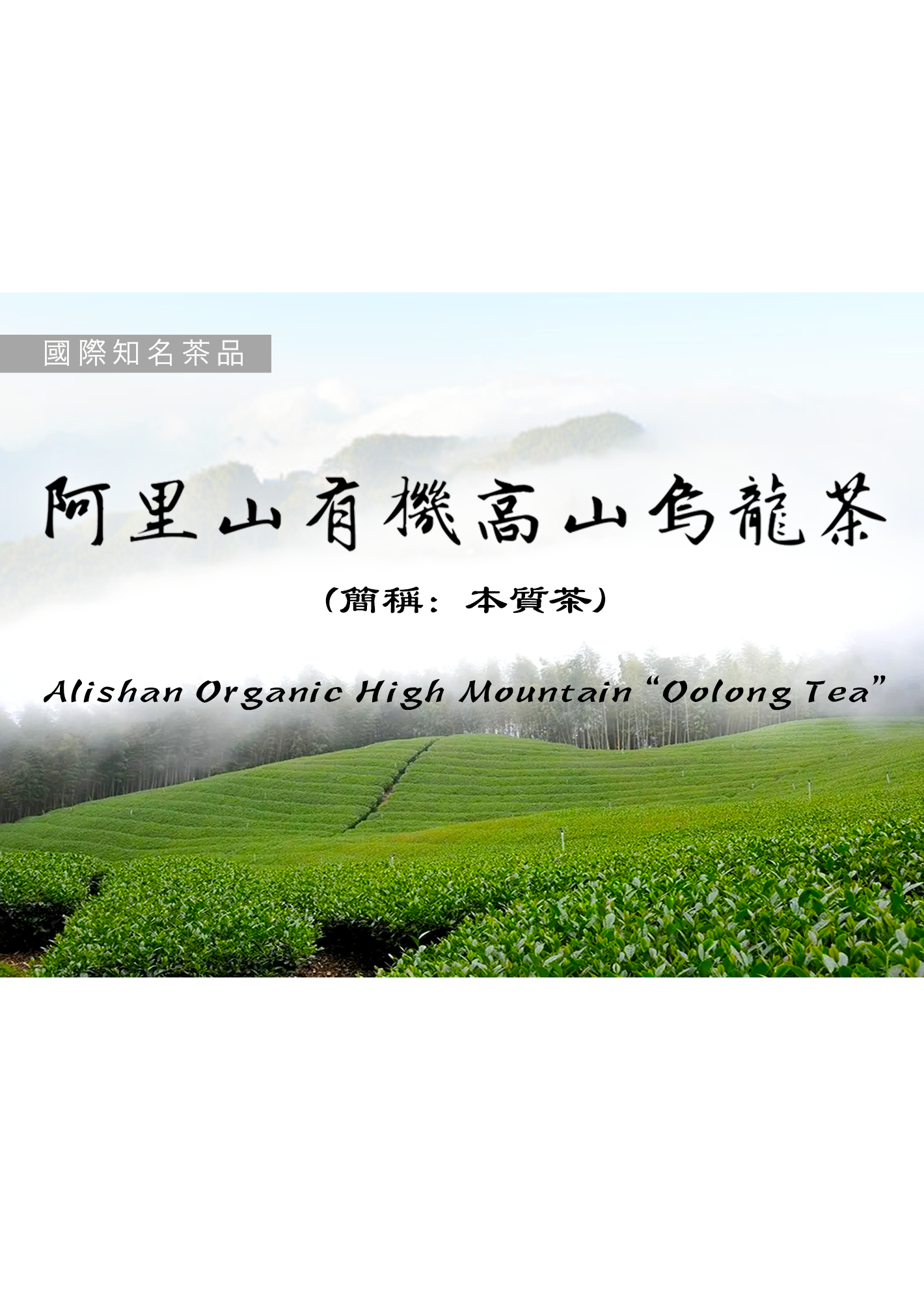 阿里山有機高山烏龍茶(本質茶)75克