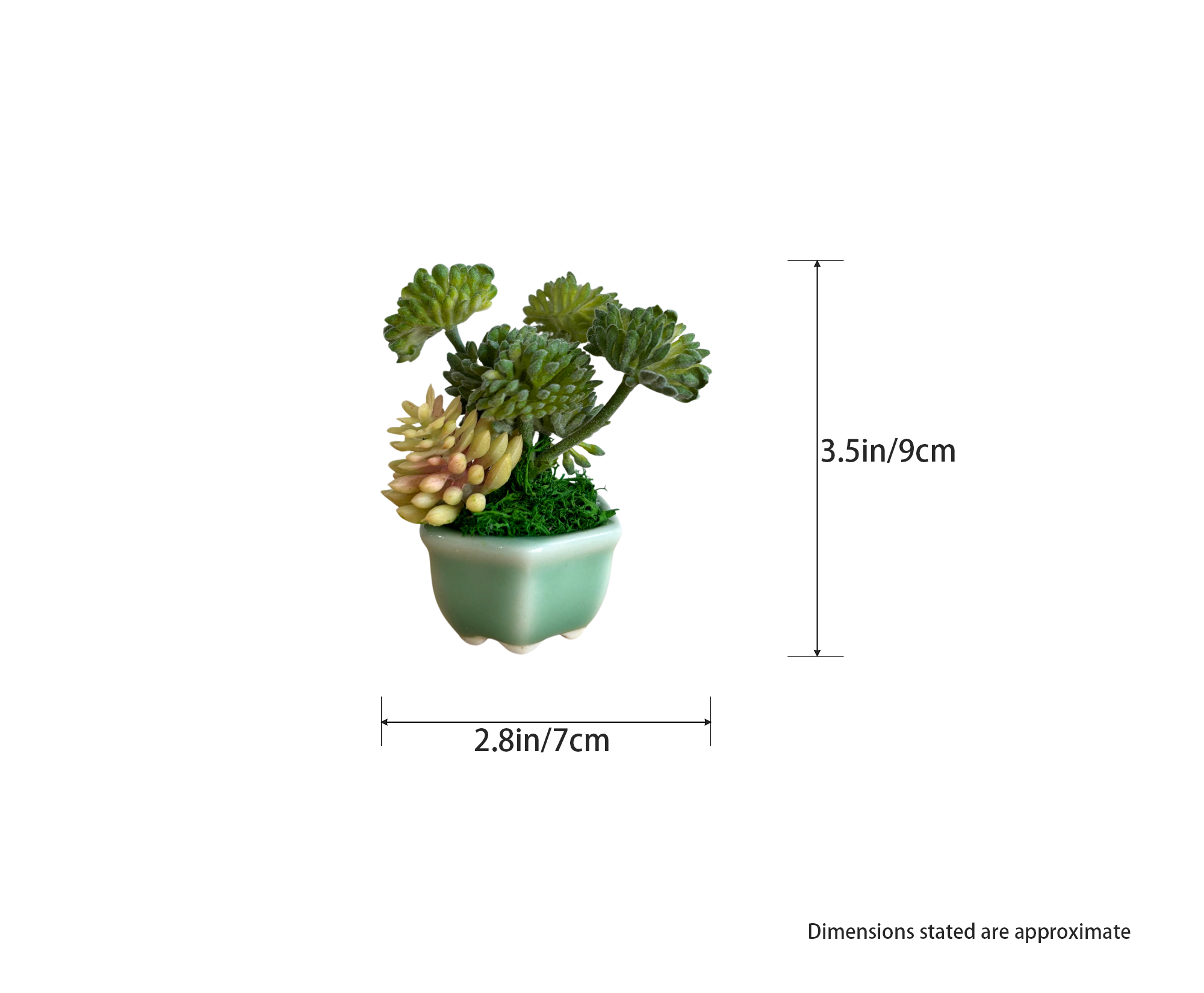 Handcraft Succulent Plant #1