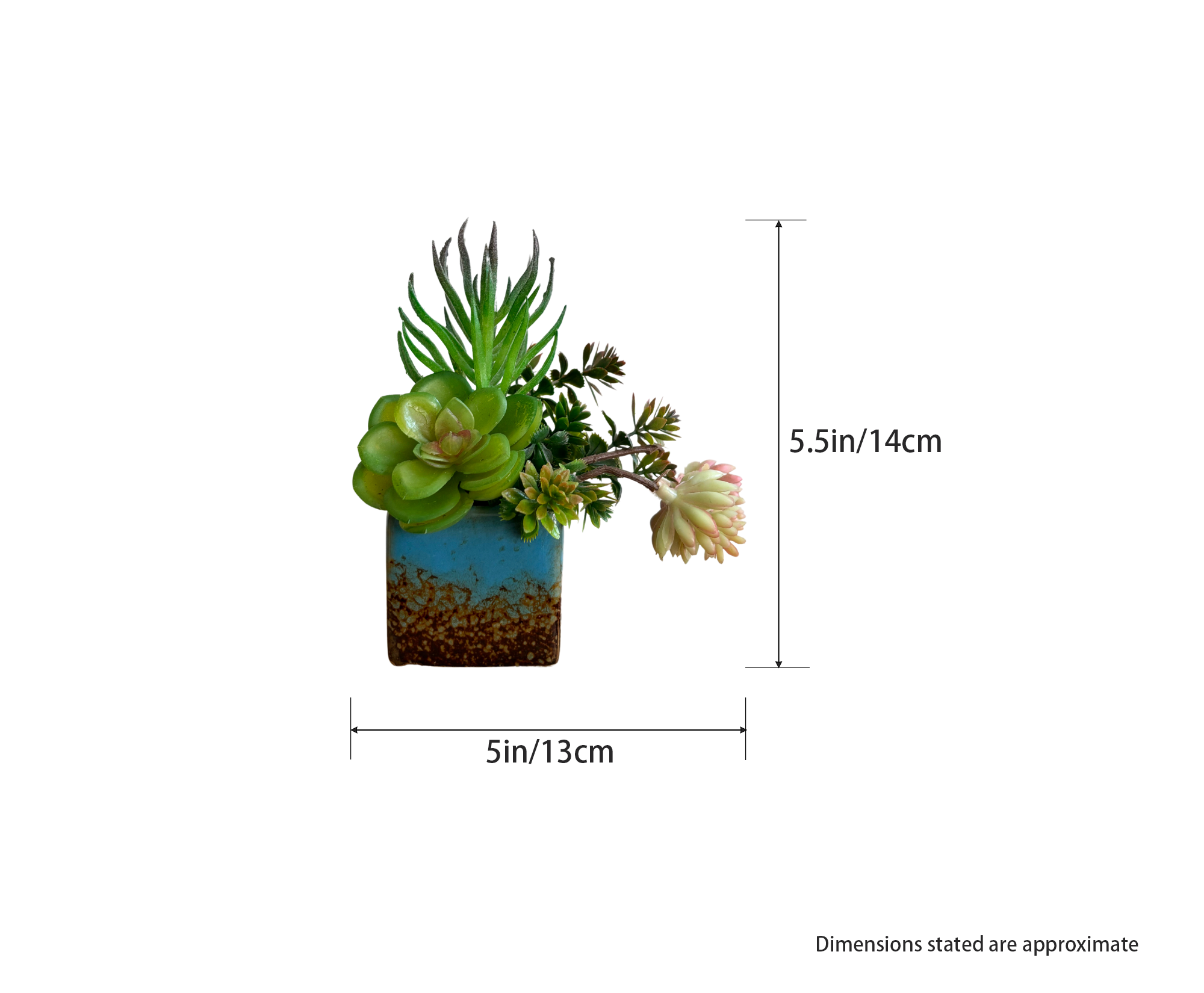 Handcraft Succulent Plant #2