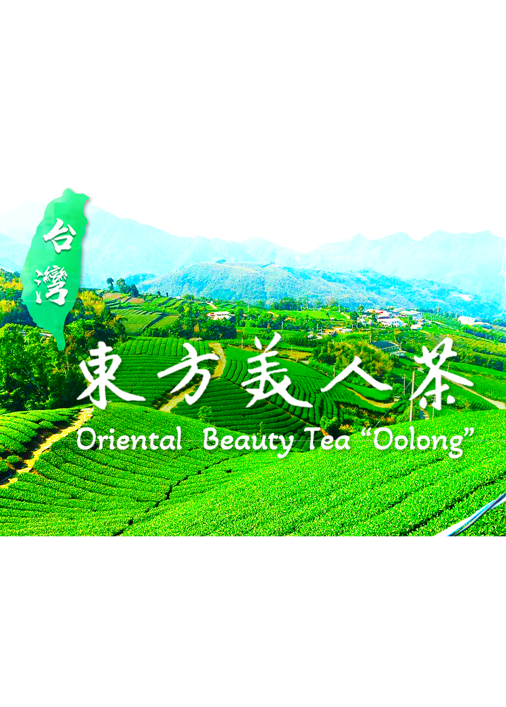 Taiwan Oriental Beauty Oolong Tea - 37.5g