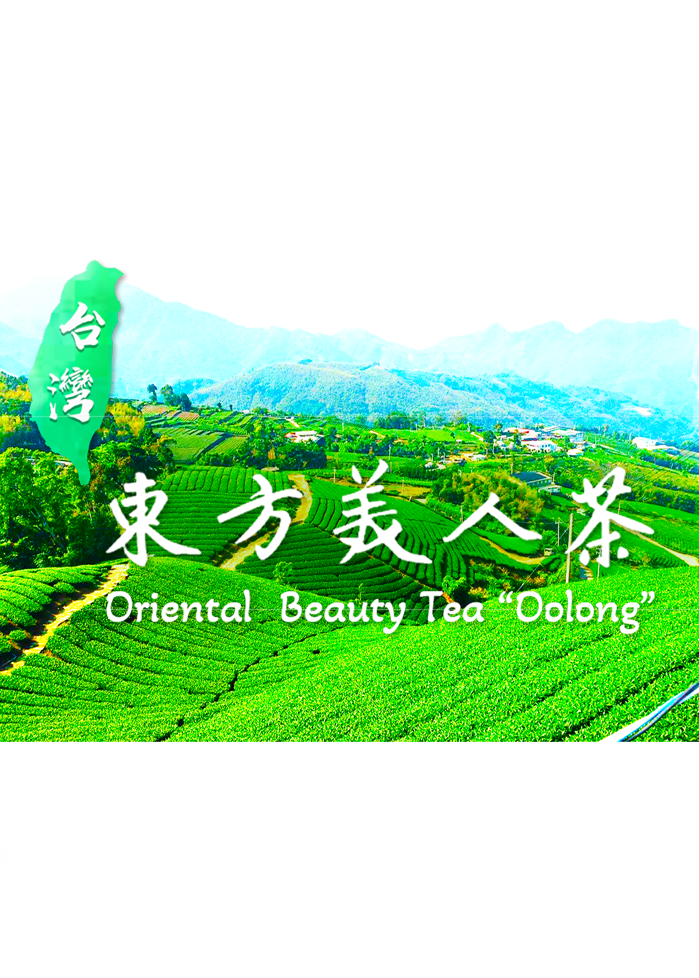 Taiwan Oriental Beauty Oolong Tea - 37.5g