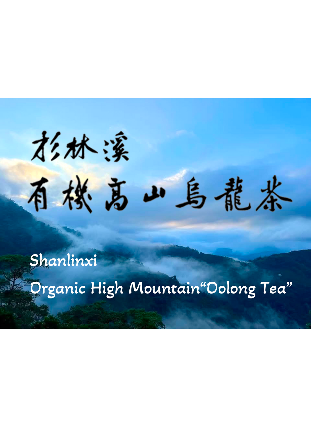 Shanlinxi High Mountain Oolong Tea - 150g