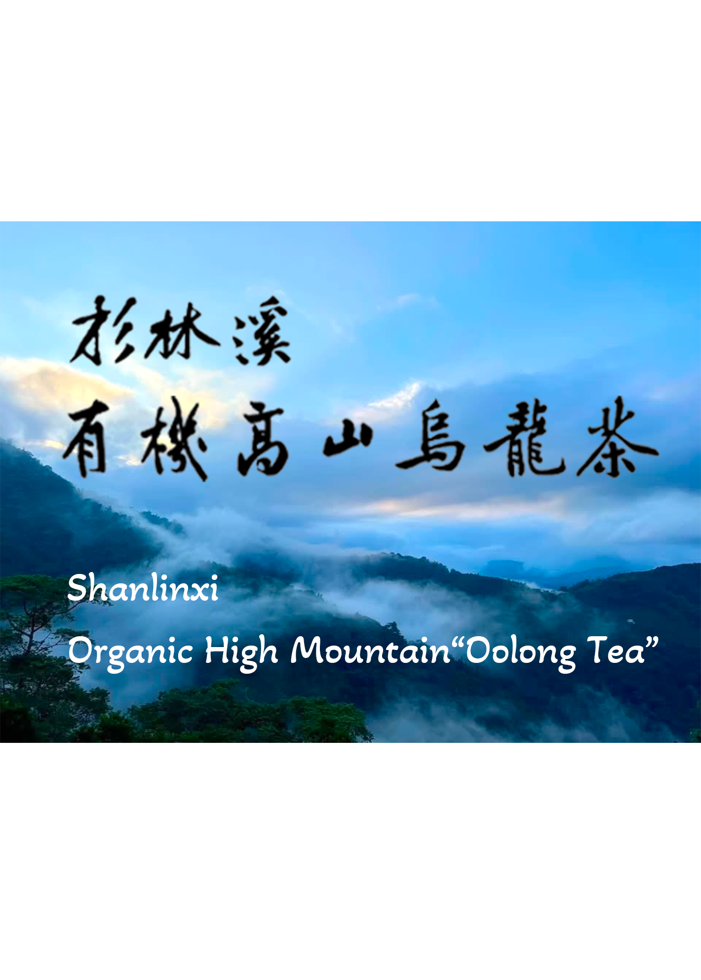 Shanlinxi High Mountain Oolong Tea - 150g